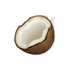 Coconote